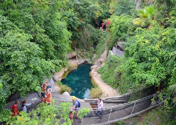 Falcon By Welcome Tenerife * Chayofa